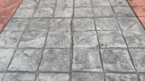 Close-up texture of concrete path Stock Footage 312095930