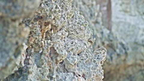 Close-Up Texture of Coral Rock Showing Natural Patterns and Details Stock Footage 296571966