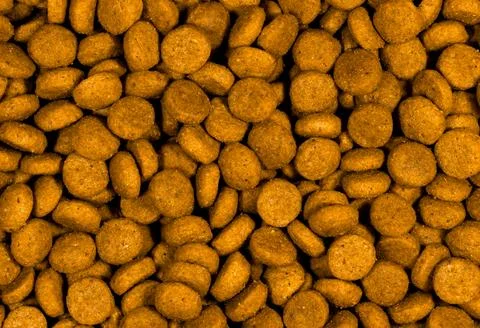 Close-up texture of a disc-shaped dry pet food Stock Photos