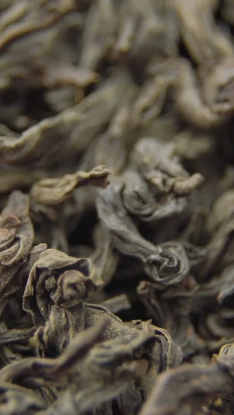 Close up texture of dried dark green tea leaves Stock Footage 334183543