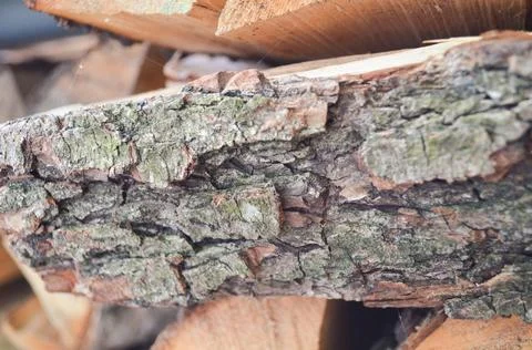 Close-up texture of dry fireplace logs. The surface of log bark. Stock Photos