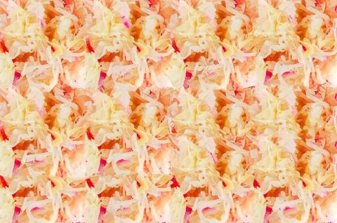 Close-up texture of fermented cabbage, a healthy probiotic food with vibran.. Stock Photos