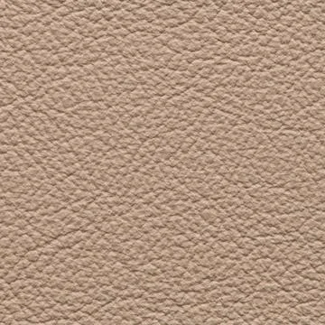 Close-up texture of fine neutral beige pebbled leather grain Stock Photos