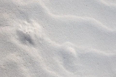 Close Up Texture of Fine White Sand Foto stock