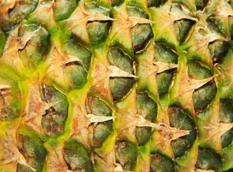 Close up texture of fresh ripe pineapple Stock Photos