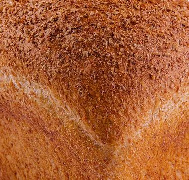 Close-up texture of freshly baked bread 스톡 사진