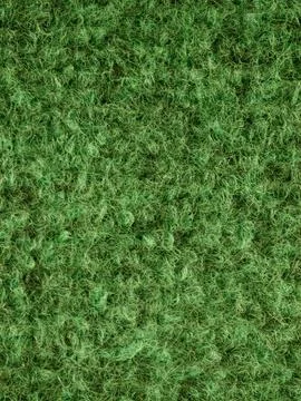 Close-up texture of green mossy grass carpet Stock Photos