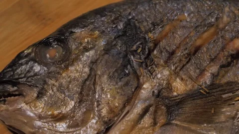 Close-up texture of grilled Portuguese predatory fish dorado Stock Footage 300404244