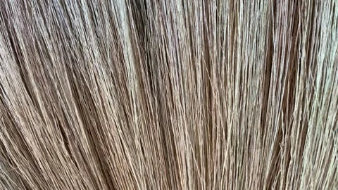 Close up texture of hay broom Stock Footage 283998972
