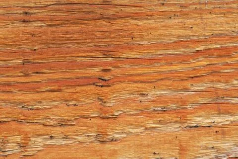 Close-up of the texture of an hewn pine bar Stock Photos