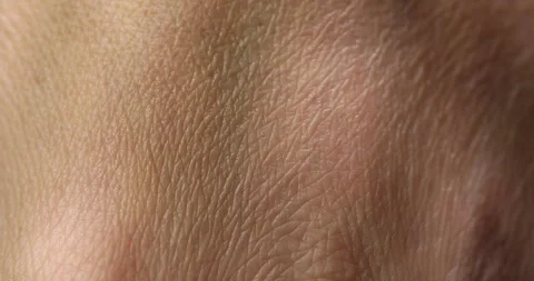 Close-up Texture of Human Skin in Natural Lighting Stock Footage 289723819