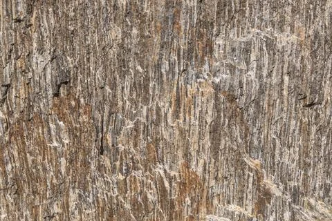 A close-up texture of a layered, weathered rock formation with varying shades Stock Photos