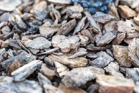 Close-up Texture of Natural Pine Bark Mulch for Garden Landscaping Stock Photos