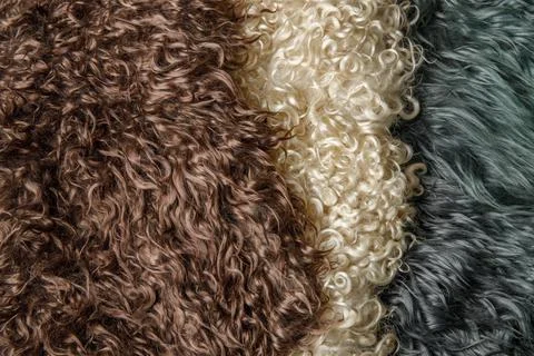 Close-up texture of painted wool from different colors Stock Photos