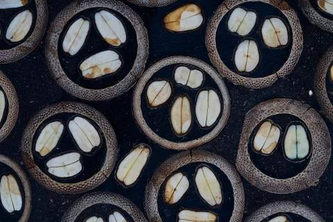 Close up texture 写真素材