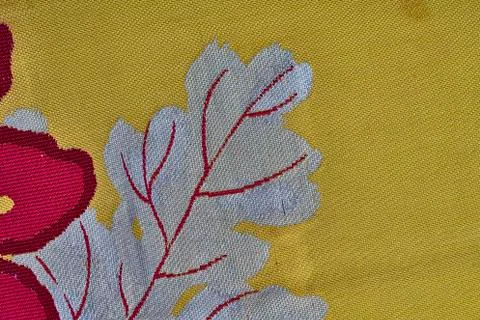 Close up texture 写真素材