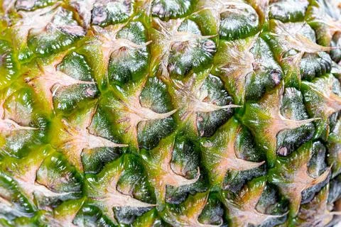 Close-up texture of pineapple peel Stock Photos