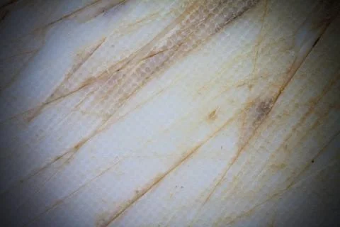 Close up texture  of plastic chopping board Stock Photos