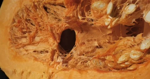 Close up of texture pumpkin. In motion. Stockbeeldmateriaal 234542427
