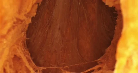 Close up of texture pumpkin. In motion. Stock Footage 234542651