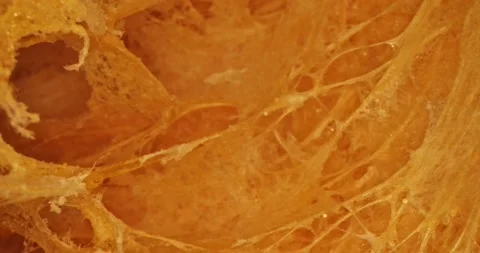 Close up of texture pumpkin. In motion. Stock Footage 234543018
