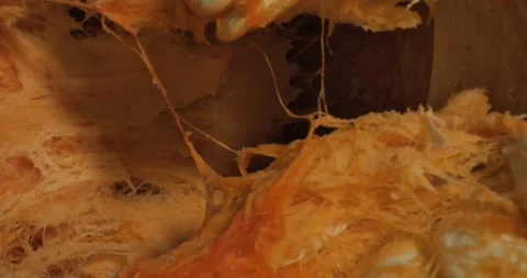 Close up of texture pumpkin. In motion. 스톡 동영상 234543235