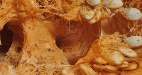Close up of texture pumpkin. In motion. Vídeo Stock 234543949