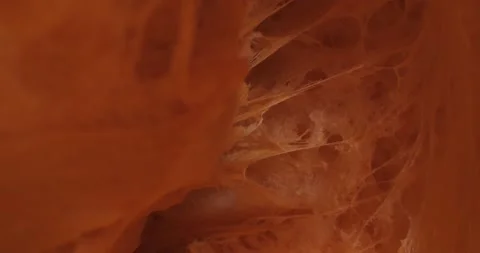 Close up of texture pumpkin. In motion. Видео 234544066