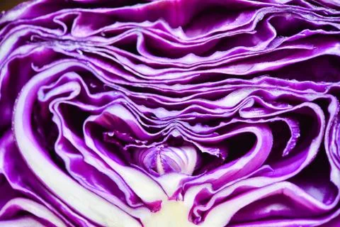 Close-up texture of purple cabbage Stock Photos