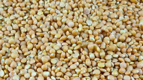 Close up texture of raw brown lentils Stock Footage 340581043