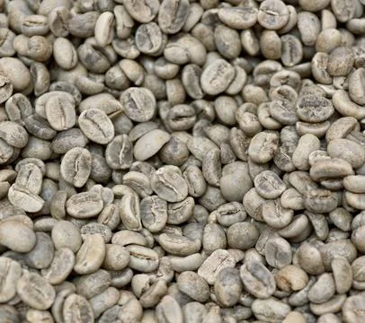 Close-up texture of raw green unroasted coffee beans Stock Photos