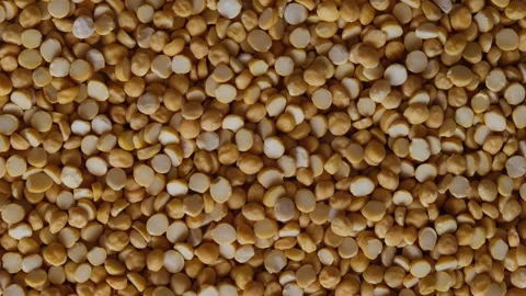 Close up texture of raw split chickpea lentils or Chana Dal 스톡 동영상 330738582