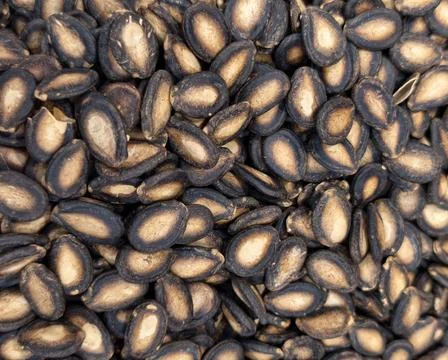 Close-up texture of roasted black watermelon seeds background Stock Photos