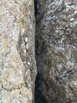 Close Up Texture of Rough Rock Surface with Narrow Gap and Mineral Inclusions Фото