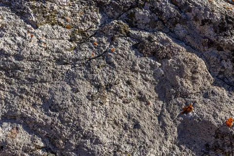 Close-up Texture of Rough Rock Surface with Lichen and Moss 스톡 사진