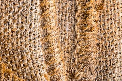 Close up texture of rough tree bark with intricate patterns and earthy tones Stock Photos