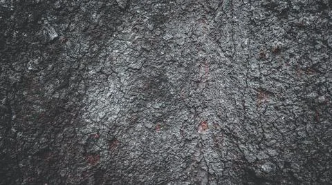 Close-up texture of rugged tree bark with natural cracks and earthy colors,.. Stock Photos