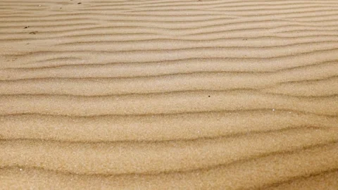 Close-up texture of sand on beach, where bright sun reflect light, creating.. Stock Footage 269381016