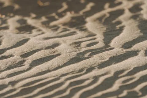 Close up of texture of sand dunes Stock Photos