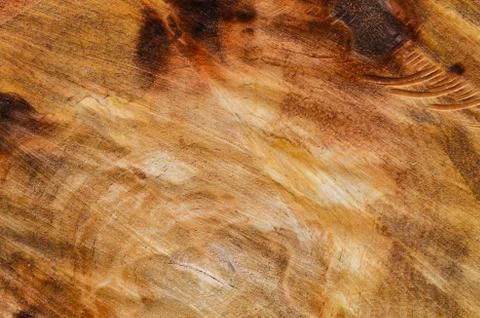 Close-up texture of a sawn tree trunk. Annual rings of a tree. Close up view Stock Photos