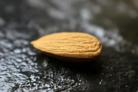 Close Up Texture of Single Shelled Almond on Dark Countertop for Bakery and.. 库存照片