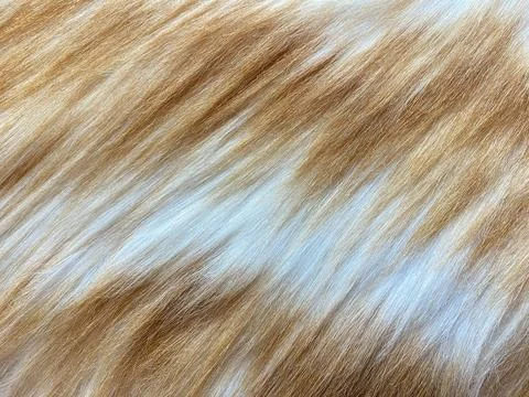 Close-up texture of soft ginger cat fur. Stock Photos