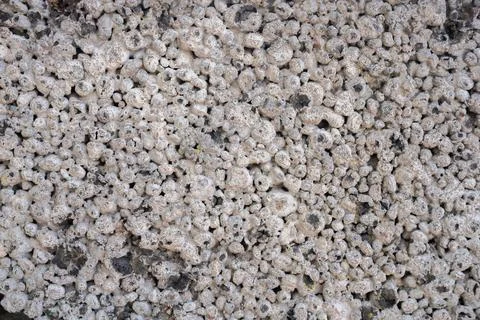 Close-Up Texture of Stone Block texture Stock Photos
