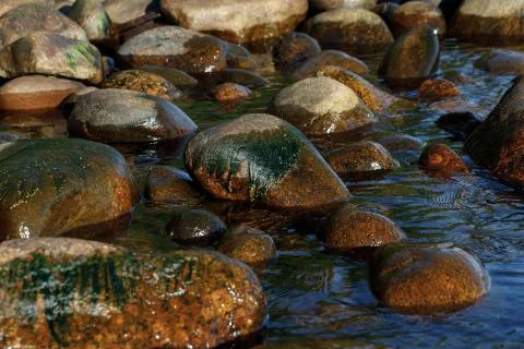 Close-up of the texture of the stone by the lake. Stock Photos