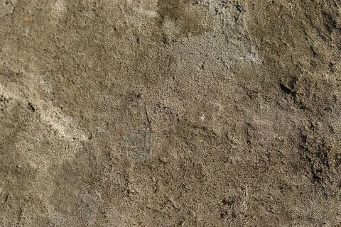 Close-up of the texture of the stone by the lake. Stock Photos