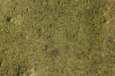 Close-up of the texture of the stone by the lake. Stock Photos