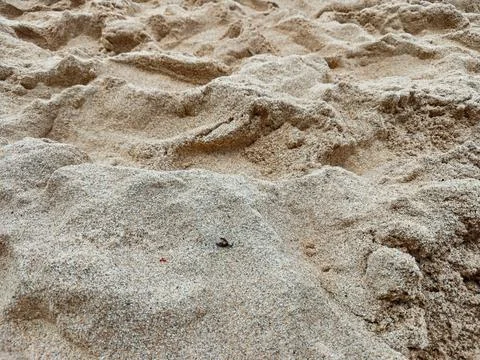 Close Up Texture of Uneven Sand Surface on a Tropical Beach 写真素材