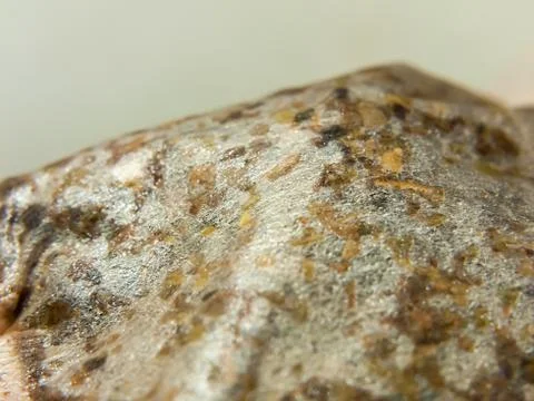 Close up texture of used tea bag Stock Photos
