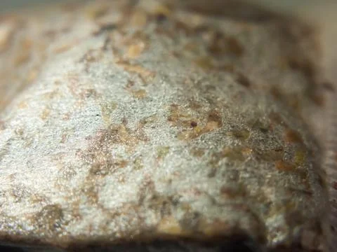 Close up texture of used tea bag Stock Photos