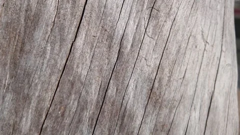 Close-up texture of weathered, aged wooden planks Stock Footage 317638962